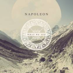 Napoleon : What We See